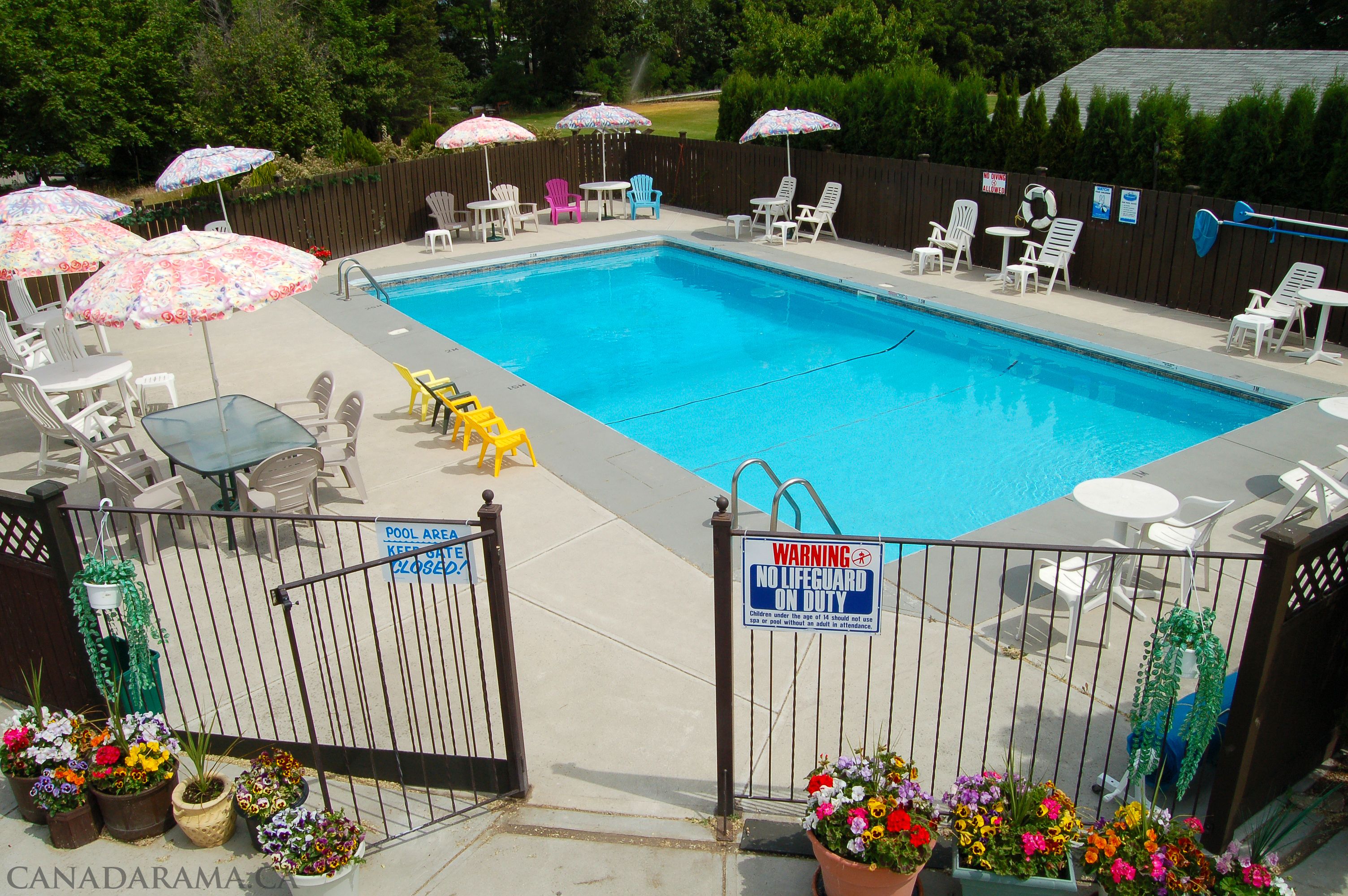 Ein Swimmingpool mit Liegestühlen und Sonnenschirmen, umgeben von einem Zaun und Blumentöpfen.