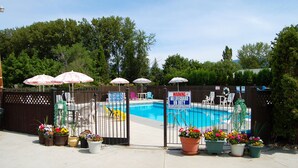 A gated swimming pool area with potted plants and umbrellas. - Rosedale Motel (Summerland)