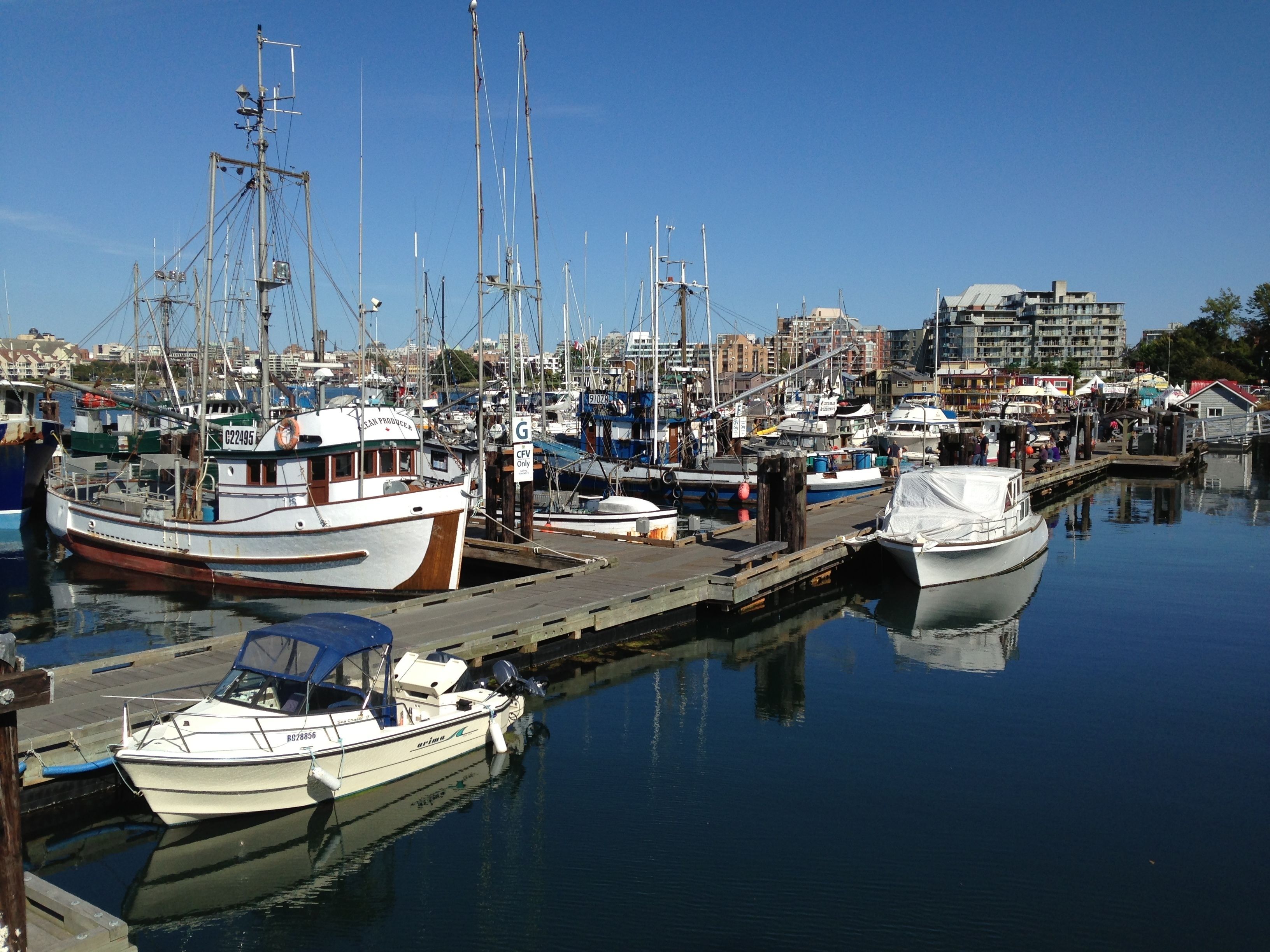 Puerto deportivo