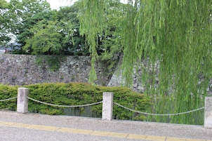 Vista desde la propiedad