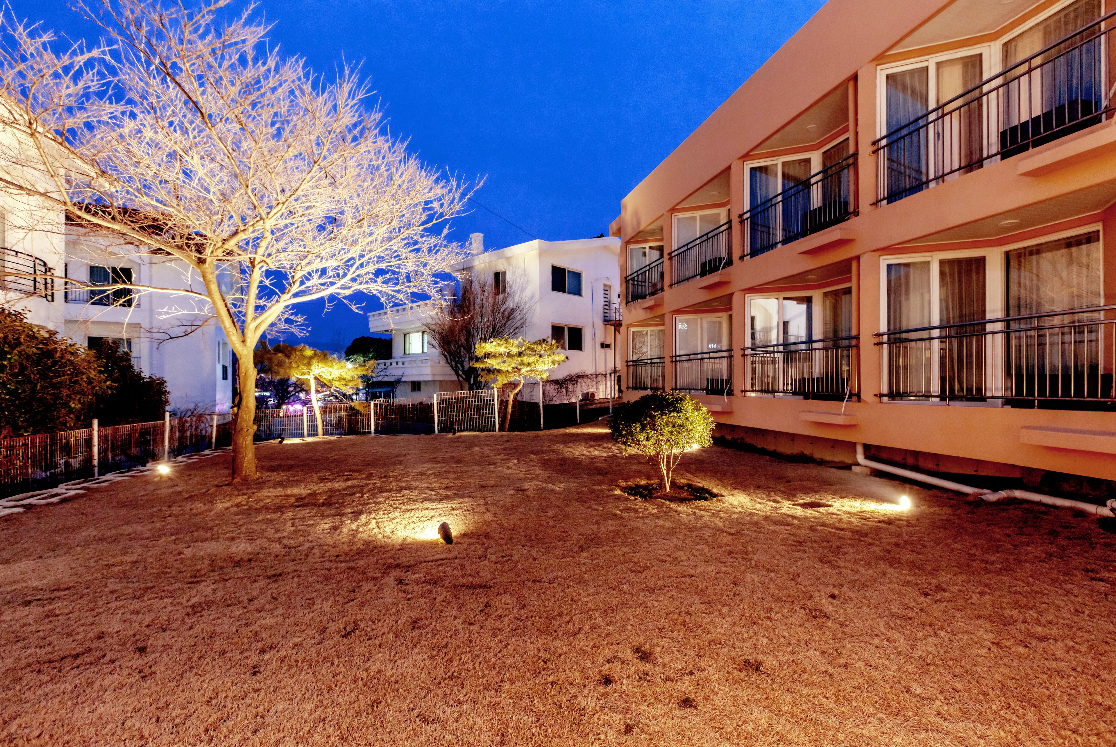 A courtyard with a tree, a small bush, and a building with balconies.