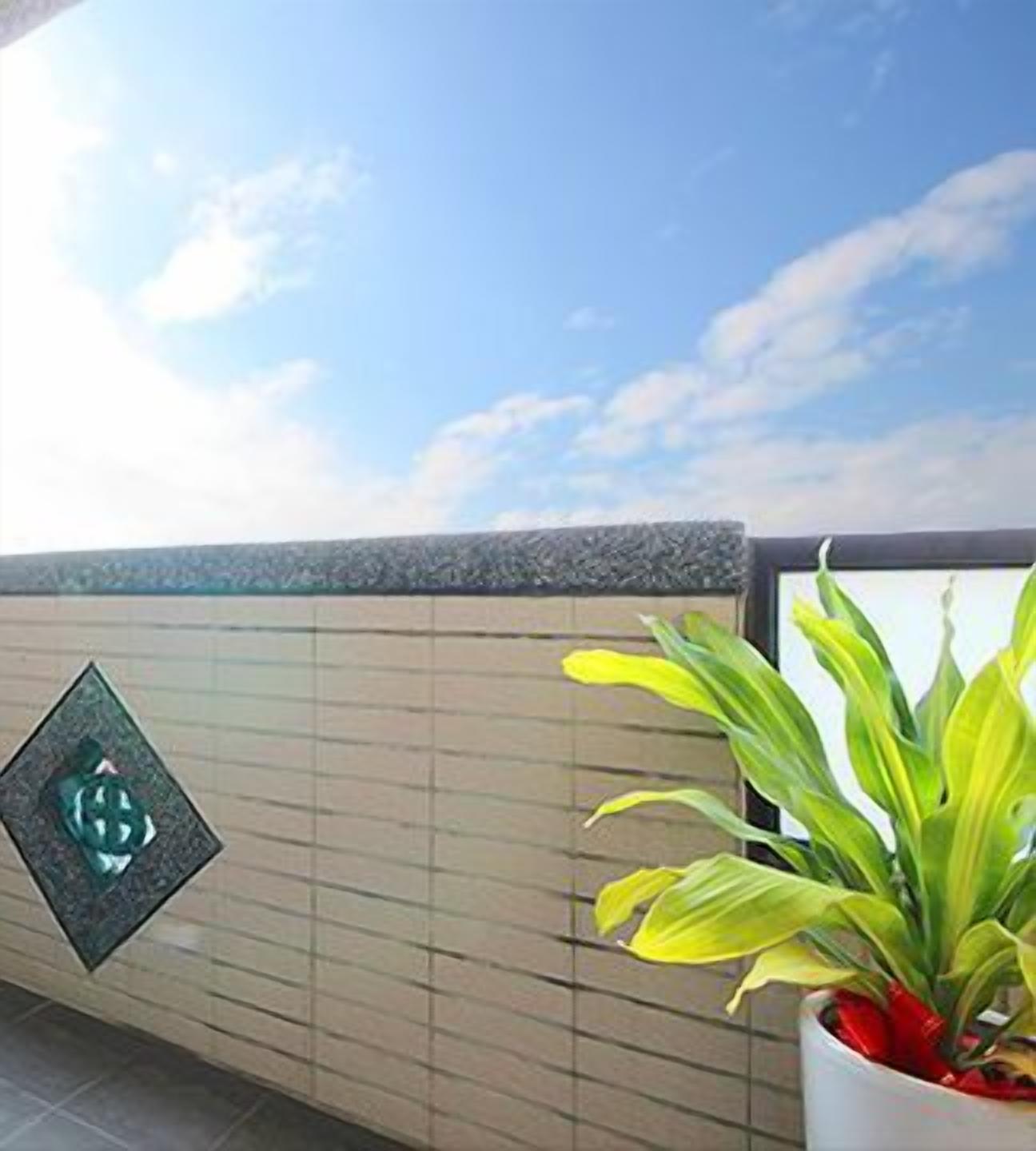 A potted plant on a balcony with a tiled wall and a clear sky.