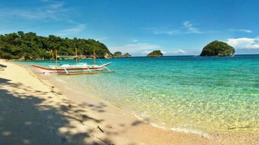 Oasis Resort and Spas