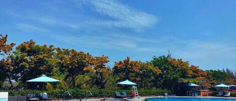 Outdoor pool, pool umbrellas, sun loungers