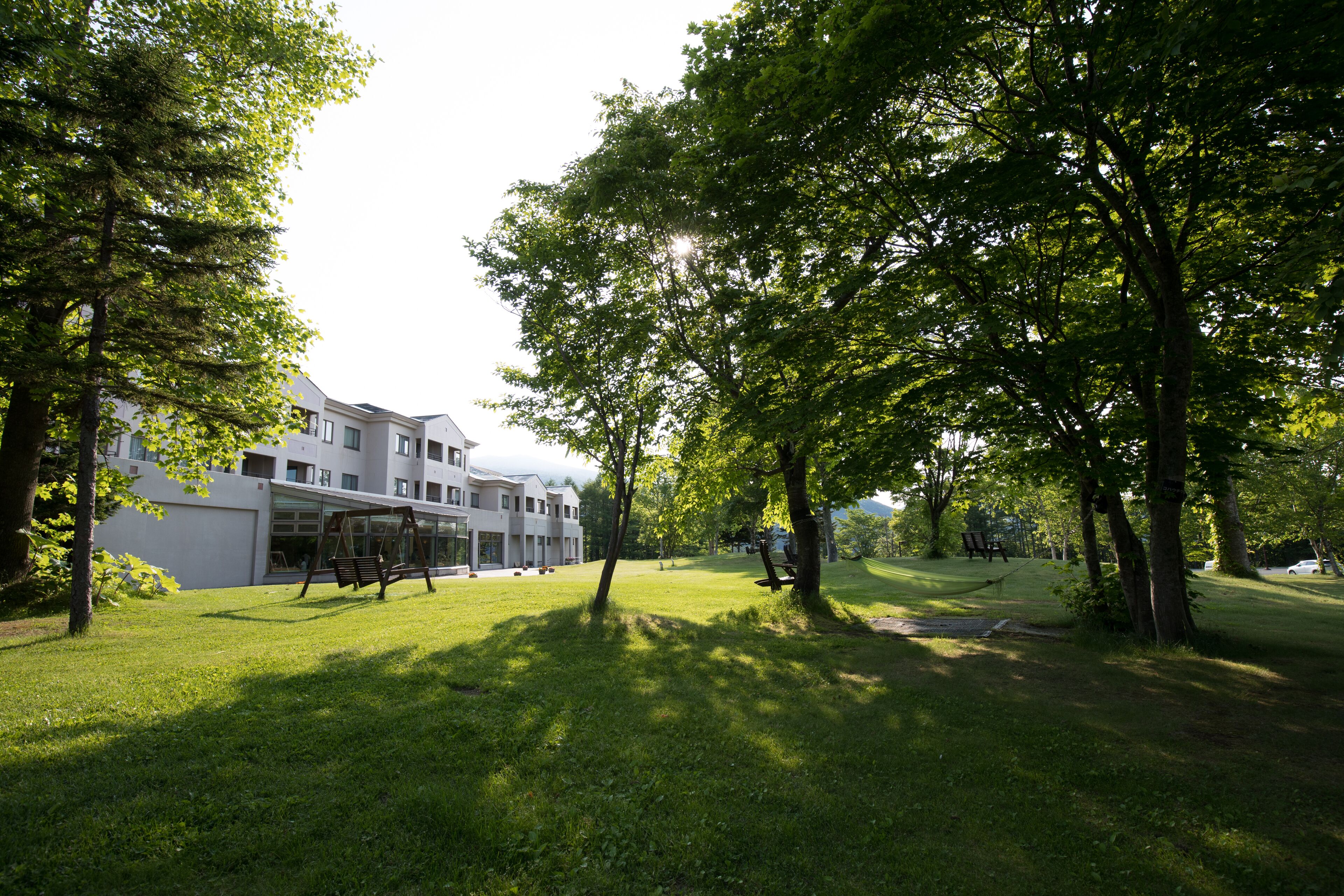 A grassy area with trees and a modern building in the background.