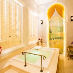 Banheira de hidromassagem, sauna a vapor, tratamentos corporais