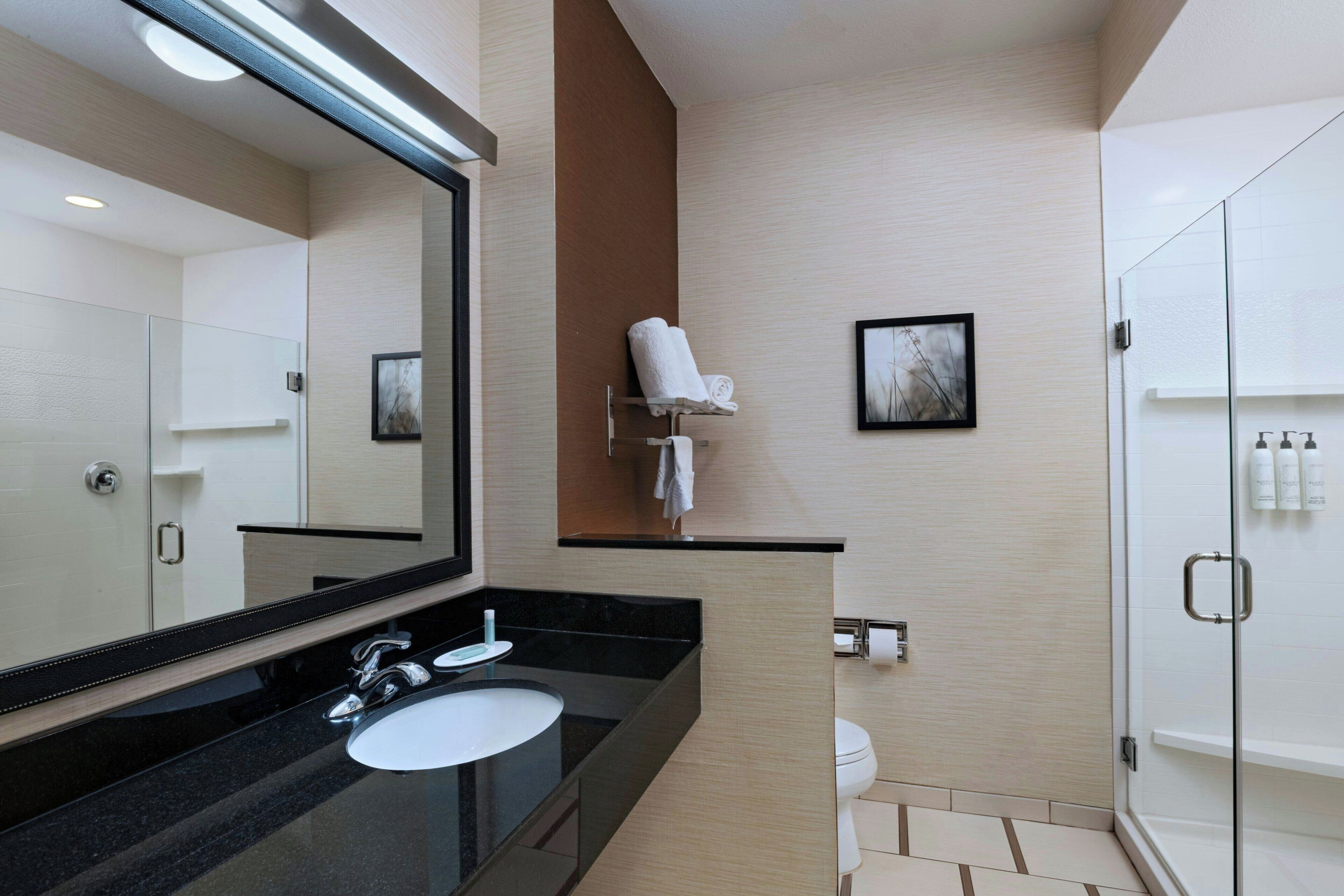 A modern bathroom with a black countertop sink, a large mirror, a glass shower enclosure, and a toilet.