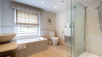 Combined shower/bathtub, free toiletries, hair dryer, towels