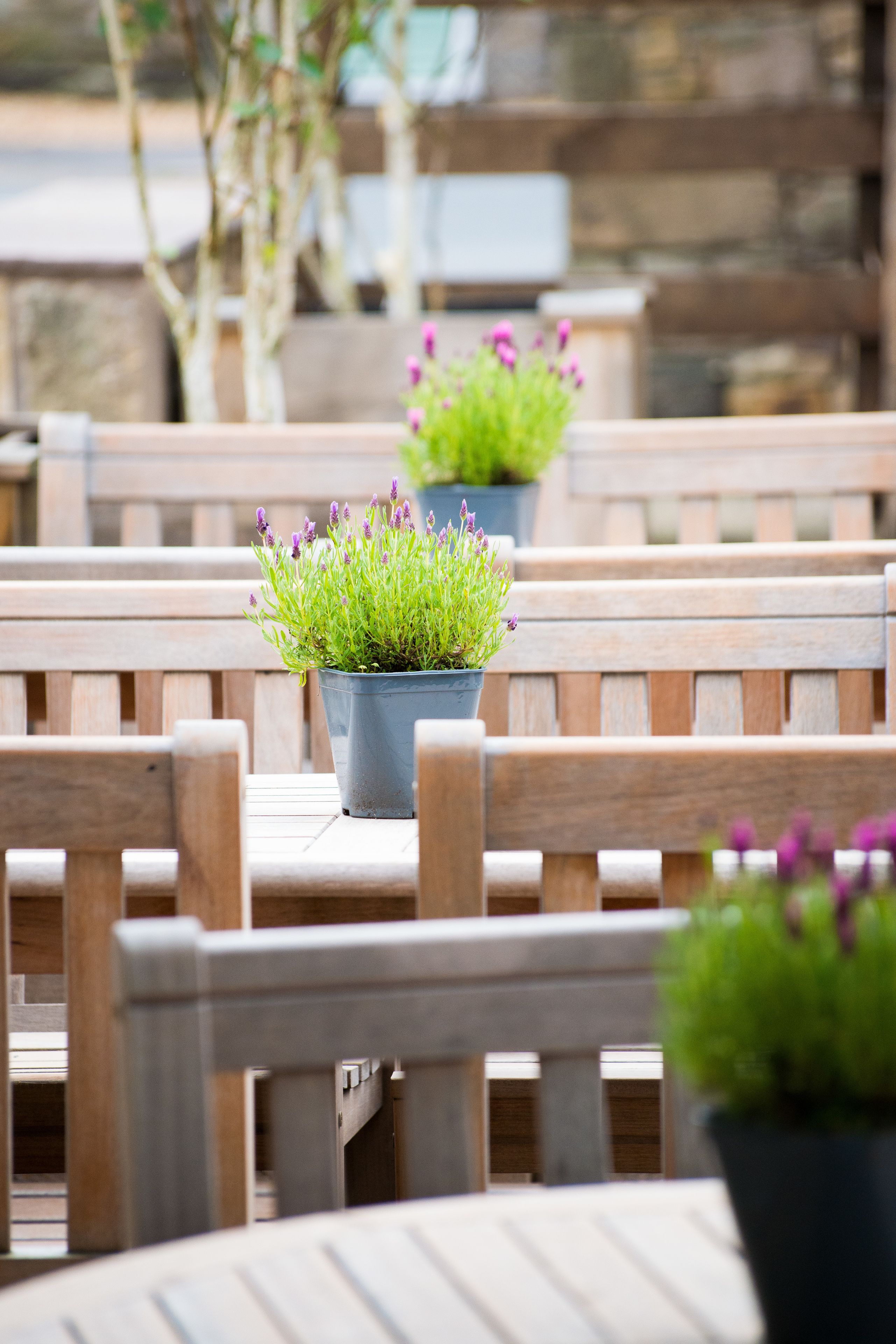 A wooden outdoor seating area with benches and potted plants.