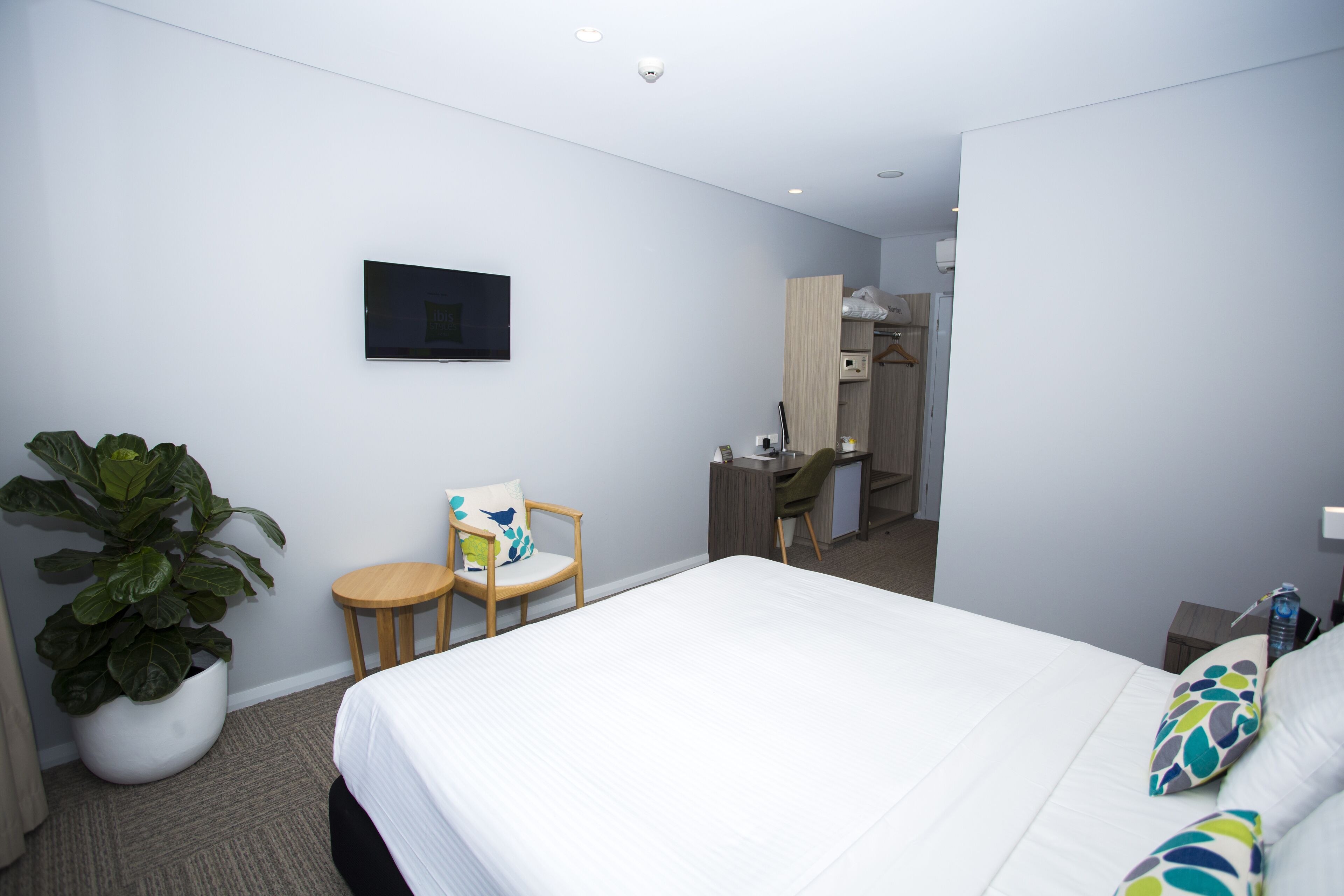 A hotel room with a bed, a desk, a chair, a television, and a potted plant.