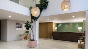 A modern reception area with a reception desk, two hanging wicker chandeliers, a large potted plant, and framed artwork on the wall. - Hotel MS Ciudad Jardín Plus (Cali)