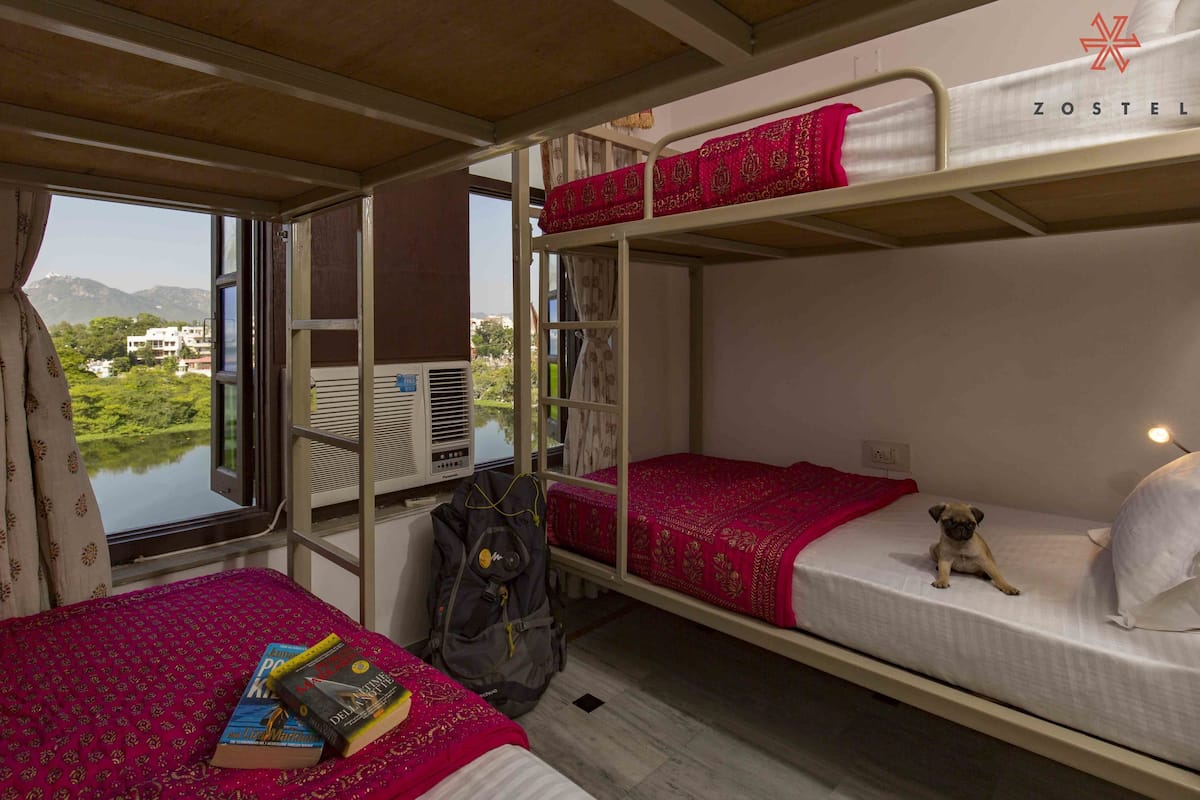 Une chambre avec des lits superposés donnant sur un espace verdoyant, une fenêtre avec des rideaux et un petit chien sur le lit du bas.