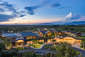 Garden view