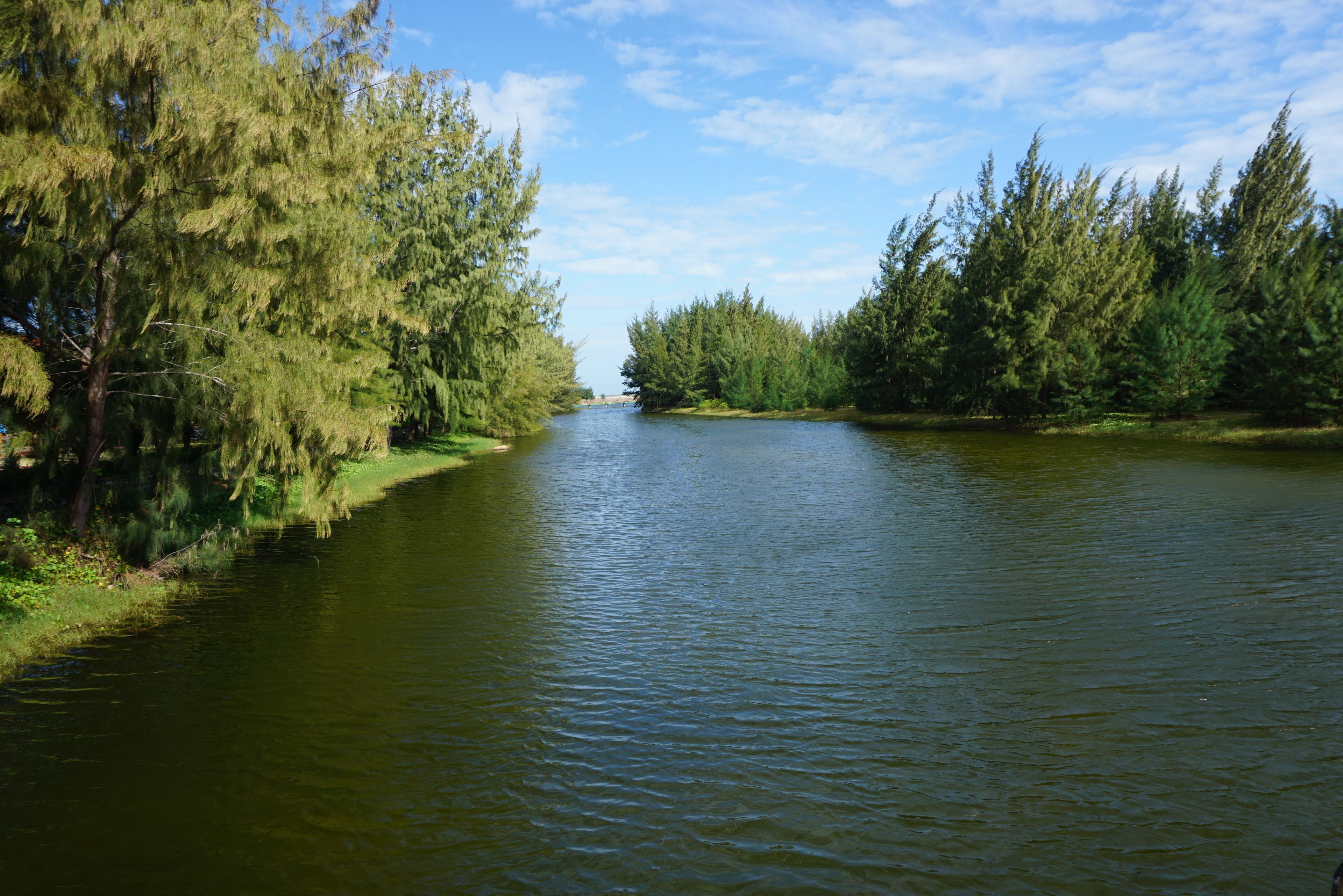 Een rivier aan weerszijden omzoomd door dichte bomen.