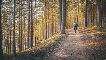 Camí boscós amb un ciclista.