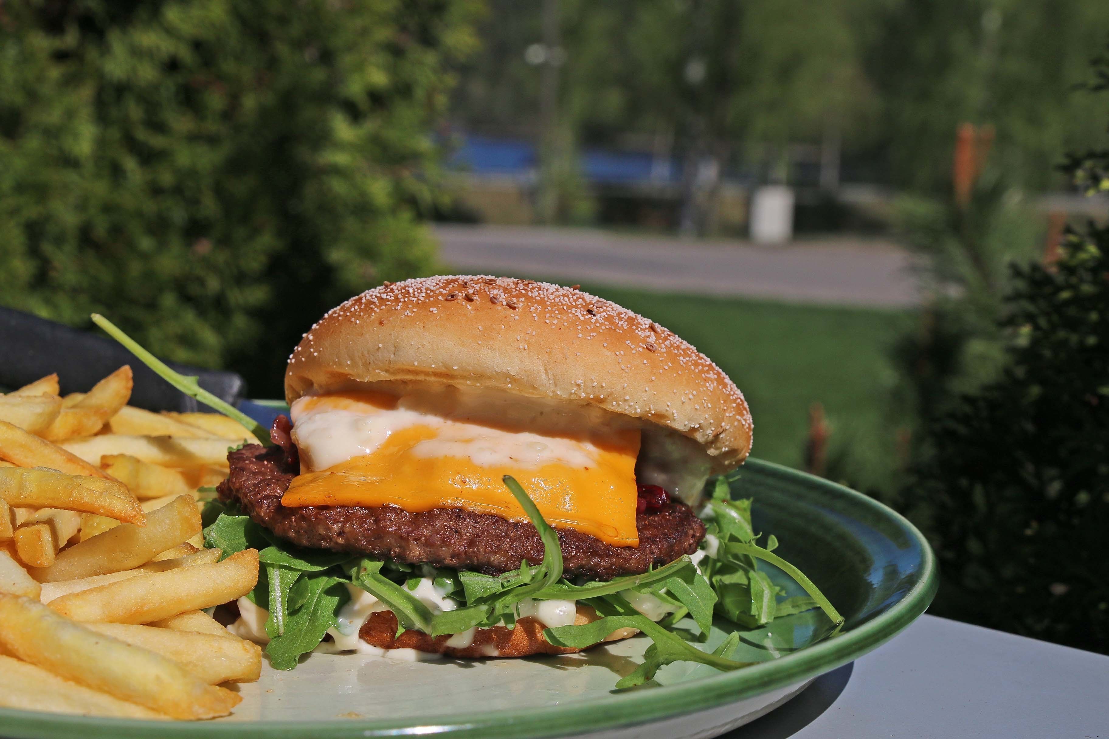 A burger with fries on a plate.