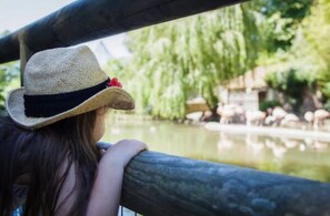 Safari - Durrell Wildlife Camp (Trinity)