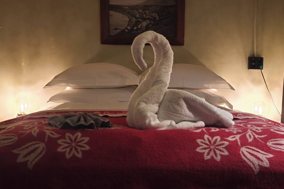 A bed with a swan towel, a red floral bedspread, and a framed picture on the wall.