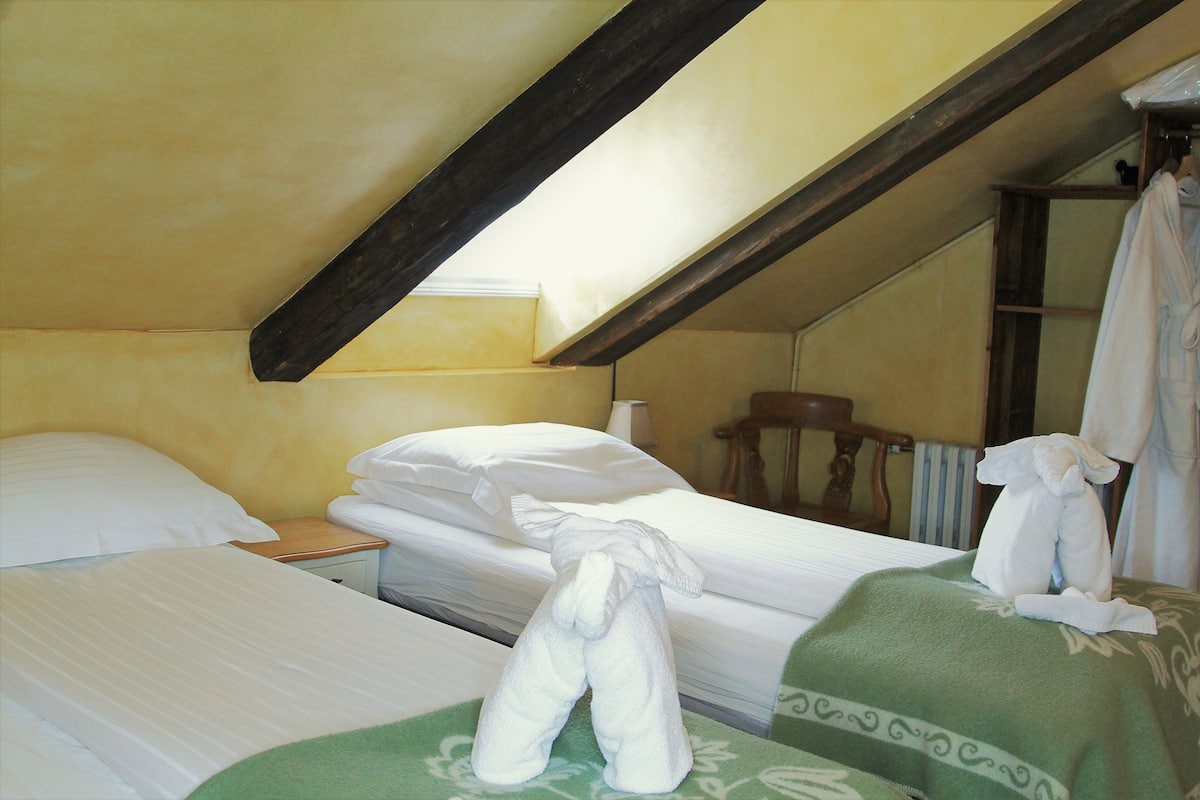 standard double or twin room | 1 bedroom, desk, blackout curtains, free cots/infant beds