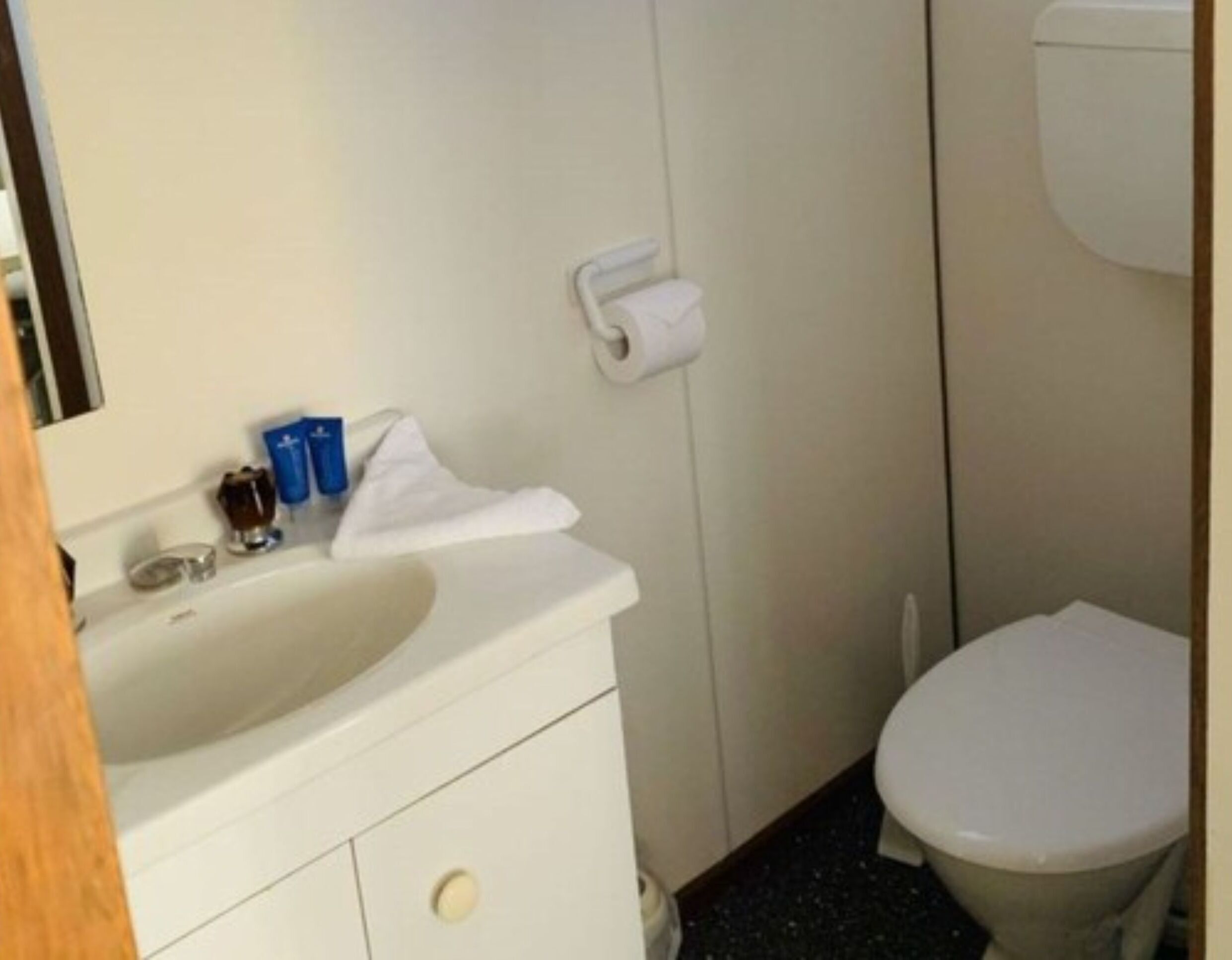 Discovery Parks - Hadspen — image 17