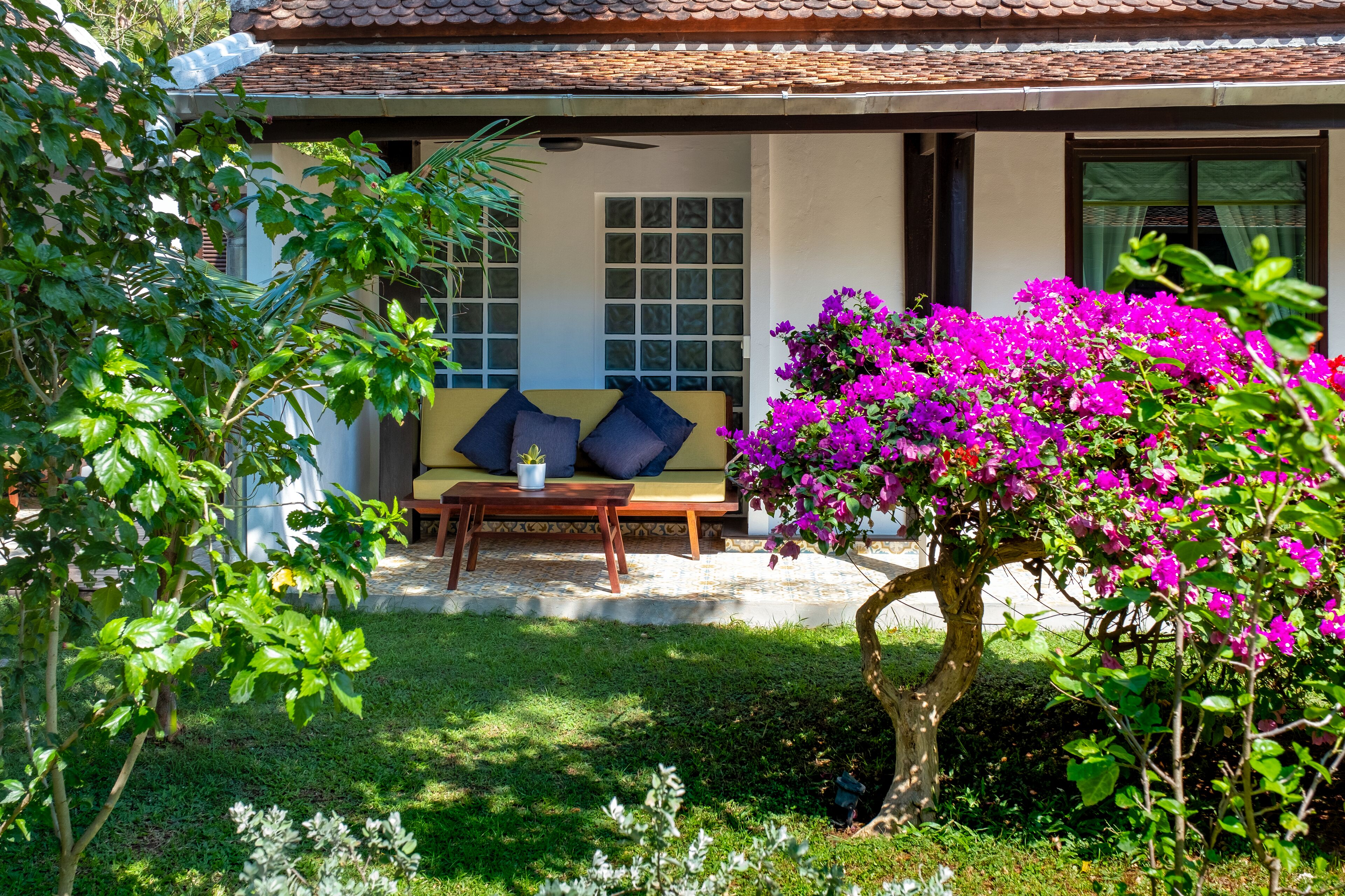 A patio with a wooden bench, a potted plant, and a vibrant bougainvillea bush.