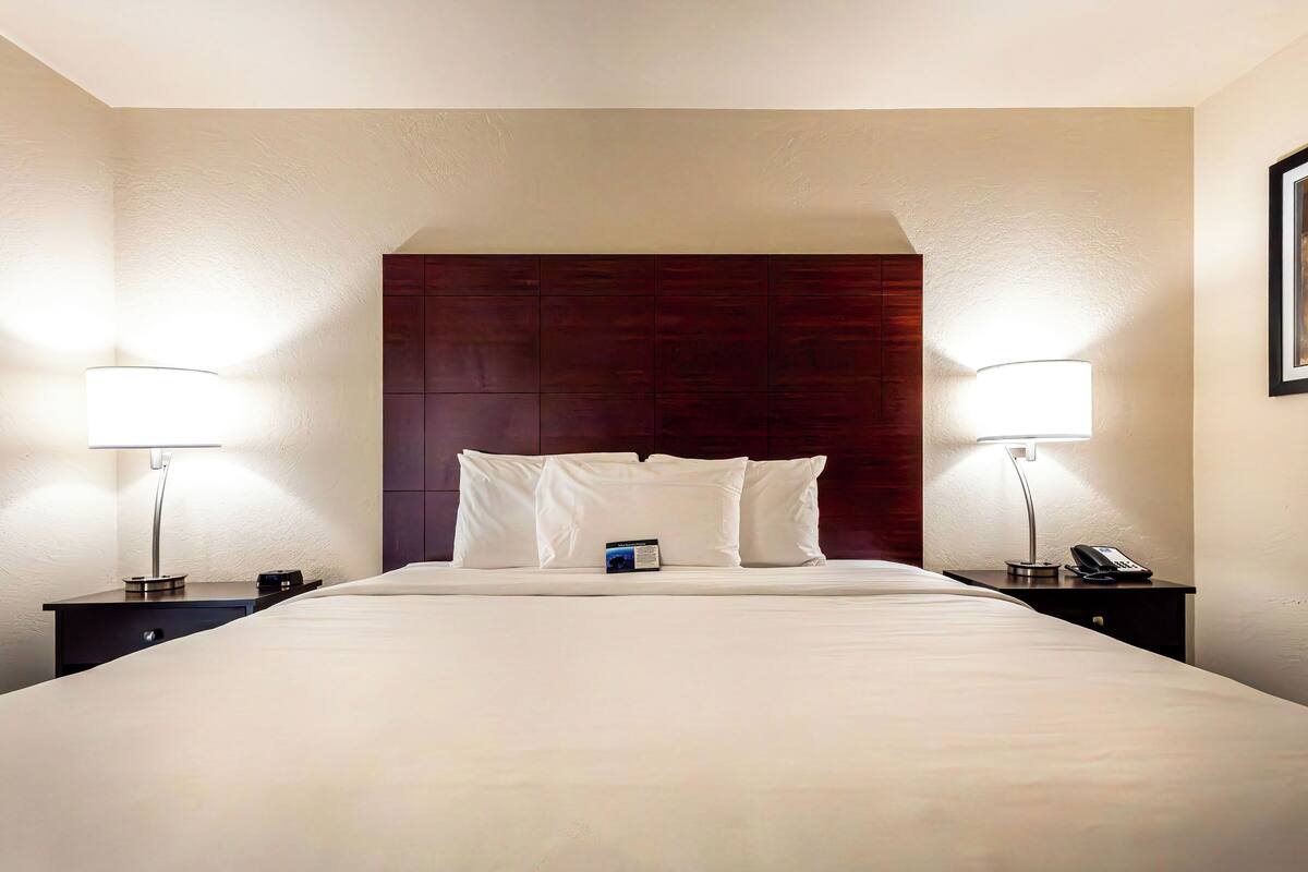 room, 1 king bed, non smoking | desk, laptop workspace, blackout curtains, iron/ironing board