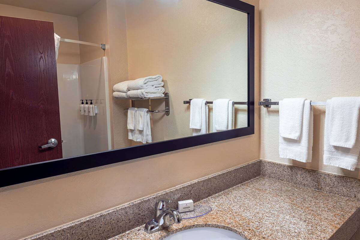 combined shower/bathtub, free toiletries, hair dryer, towels