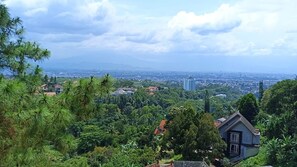 A residential area with houses surrounded by lush greenery and a distant cityscape.