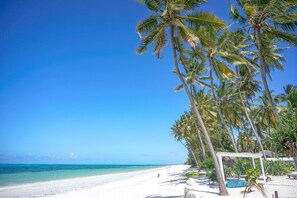 Ein Strand mit weißem Sand, klarem, blauem Wasser und Palmen.