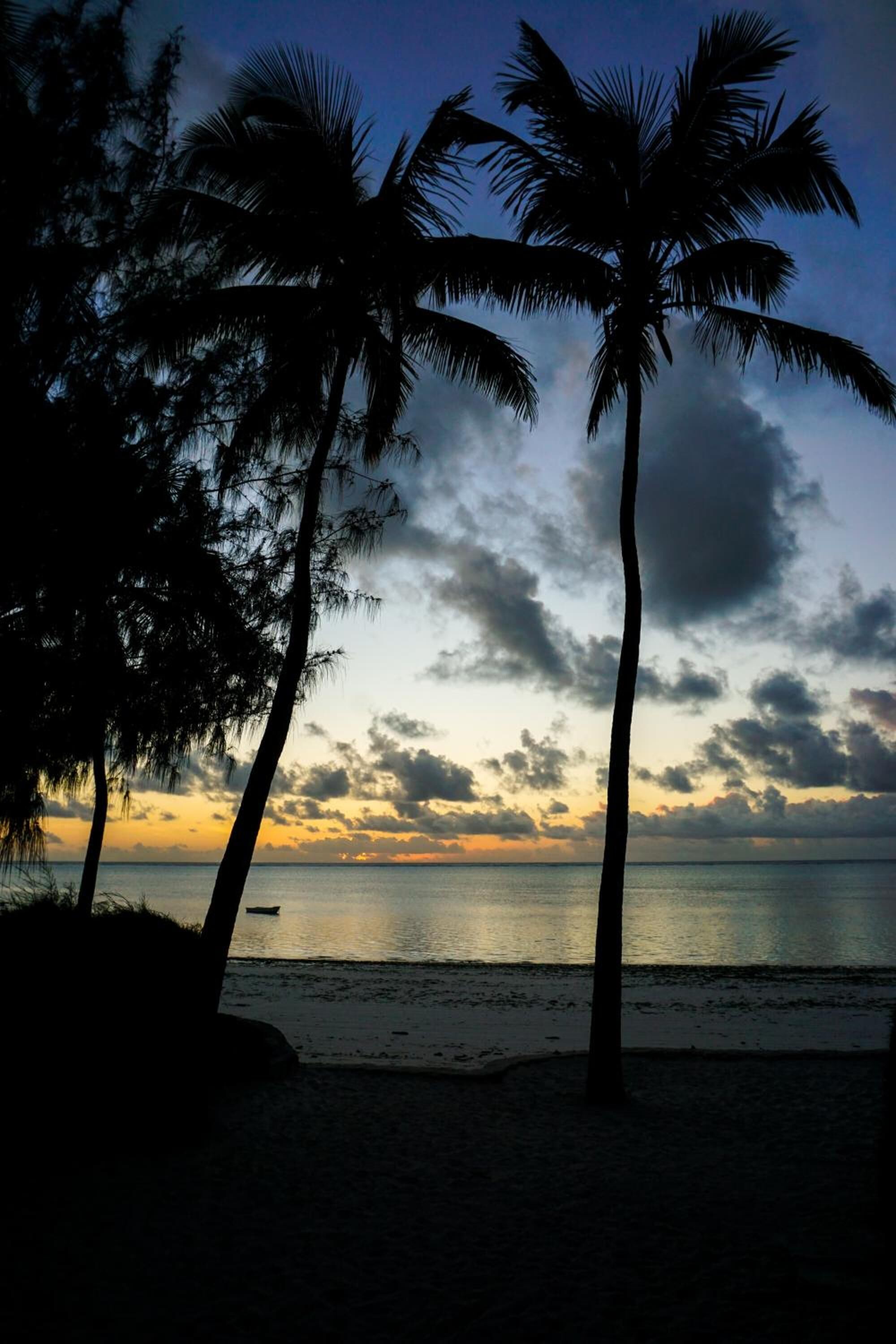 Ein Strandbild mit Palmen und einem Sonnenuntergang über dem Wasser.
