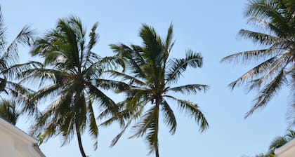 Indigo Beach Zanzibar