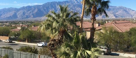 A parking area with a palm tree and a mountain range in the background.