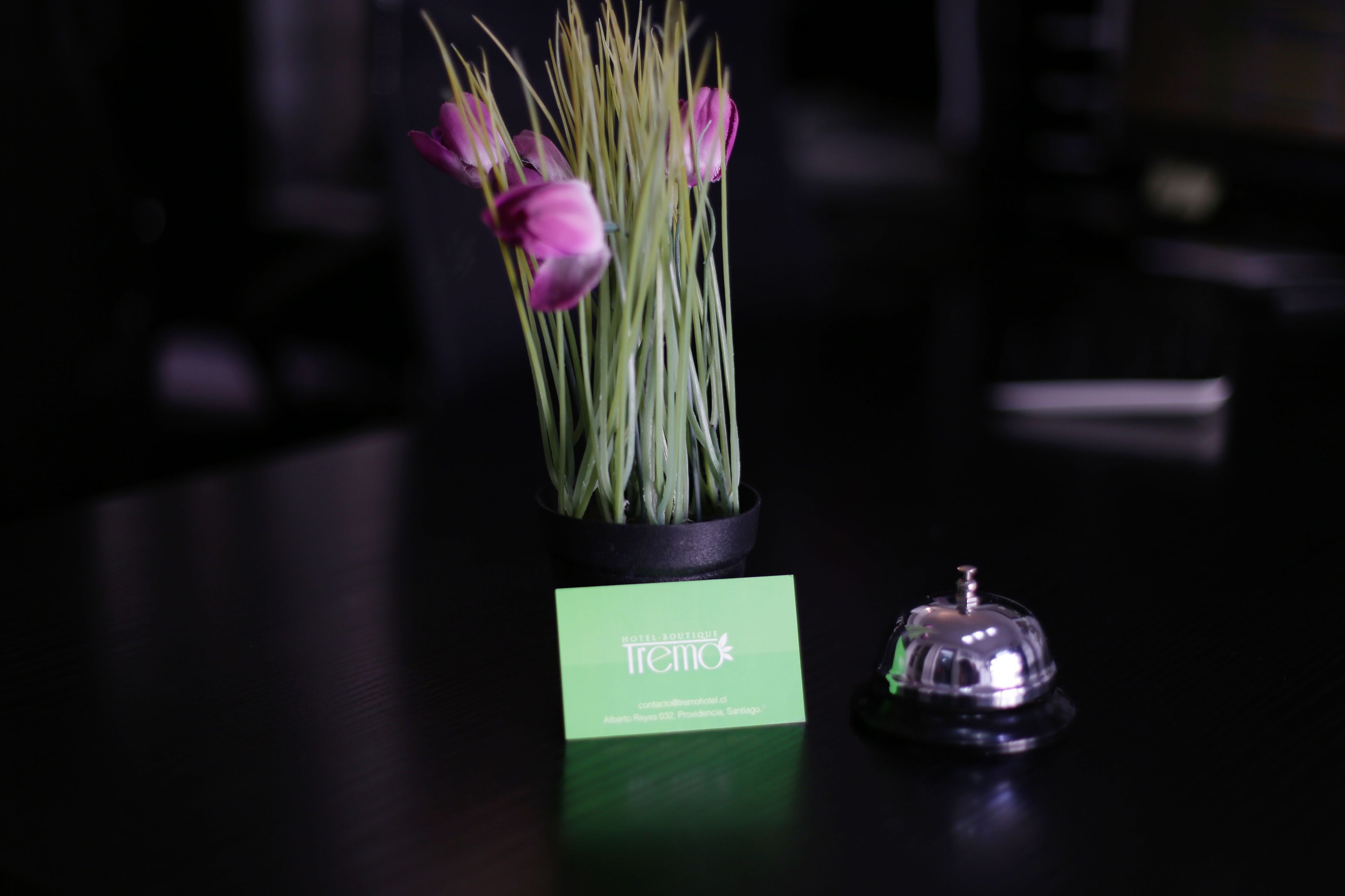 Foto - Hotel Boutique Tremo Bellavista Suite