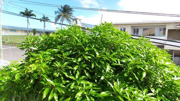 Apartamento, 2 habitaciones (Top Floor) | Vistas del balcón