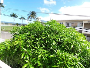 Apartment, 2 Bedrooms (Top Floor) | Balcony view