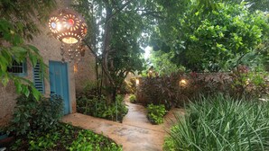 Un estrecho sendero de piedra bordeado de abundante vegetación y una puerta azul, que conduce a un edificio con una lámpara colgante decorativa.