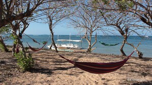A hammock between trees on a sandy beach with boats in the background.