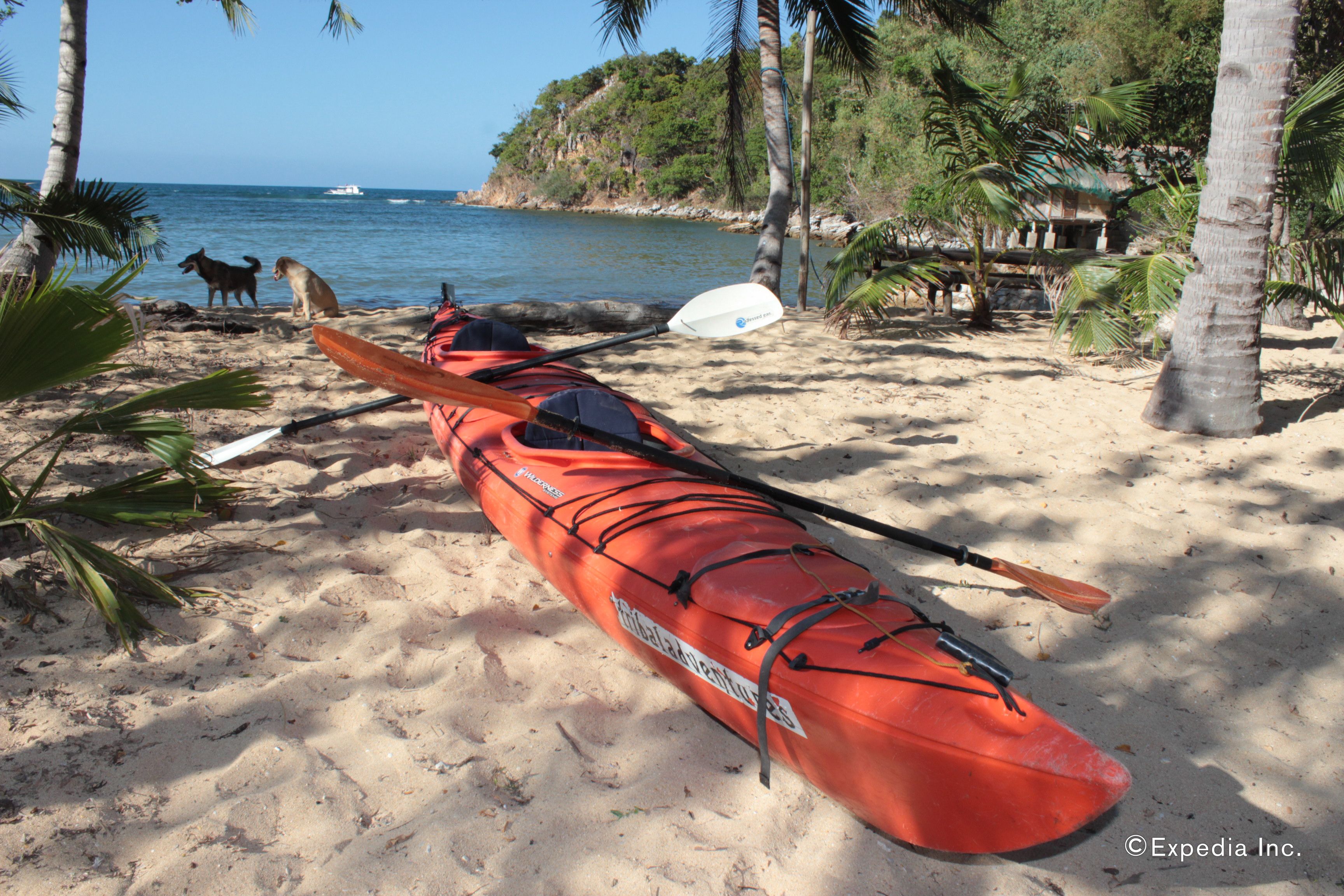 A red kayak on a sandy beach with palm trees and a view of the ocean.