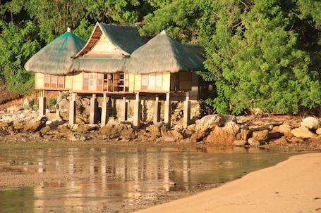Jardines del alojamiento. Palawan SandCastles Beach Resort