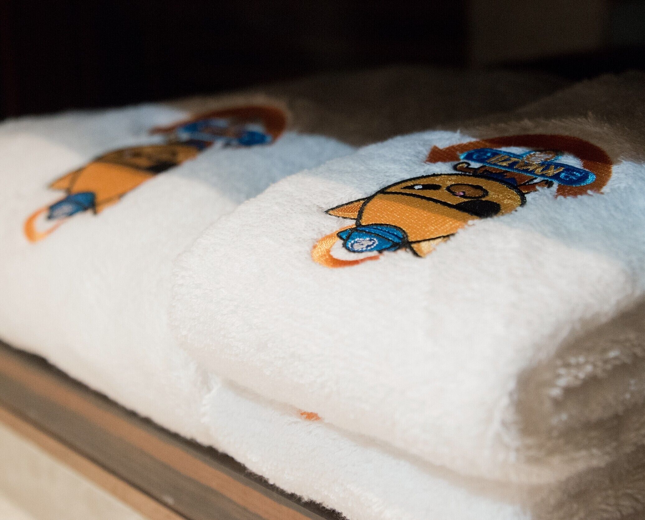 family room | children’s theme room