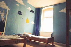 Shared Dormitory (Mixed Dorm - 4 Beds)