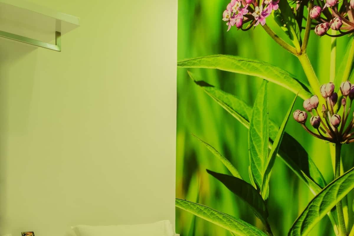 Single Room, No Windows | In-room safe, desk, iron/ironing board, free WiFi
