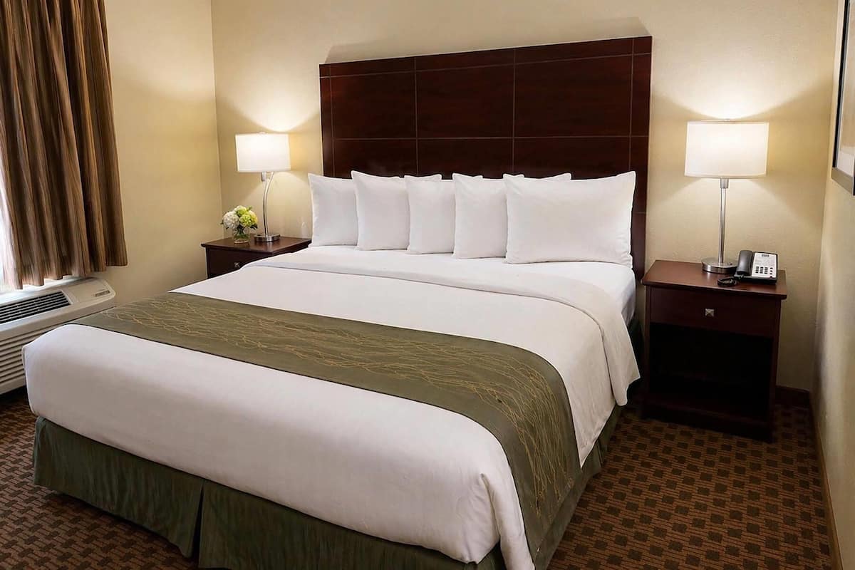 A hotel room with a large bed, two bedside tables, a nightstand, a lamp, and a telephone.