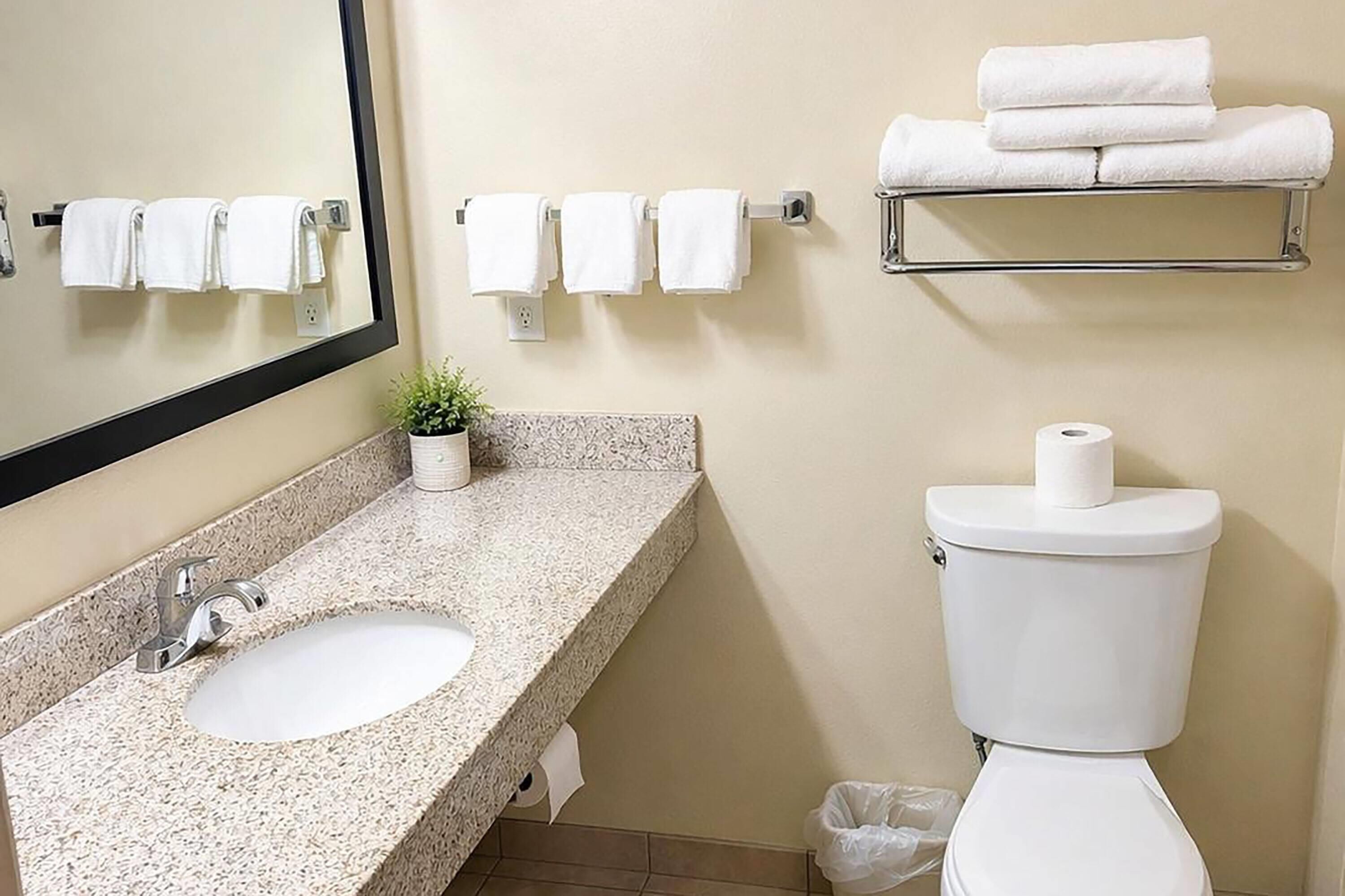 Combined shower/bathtub, free toiletries, hair dryer, towels