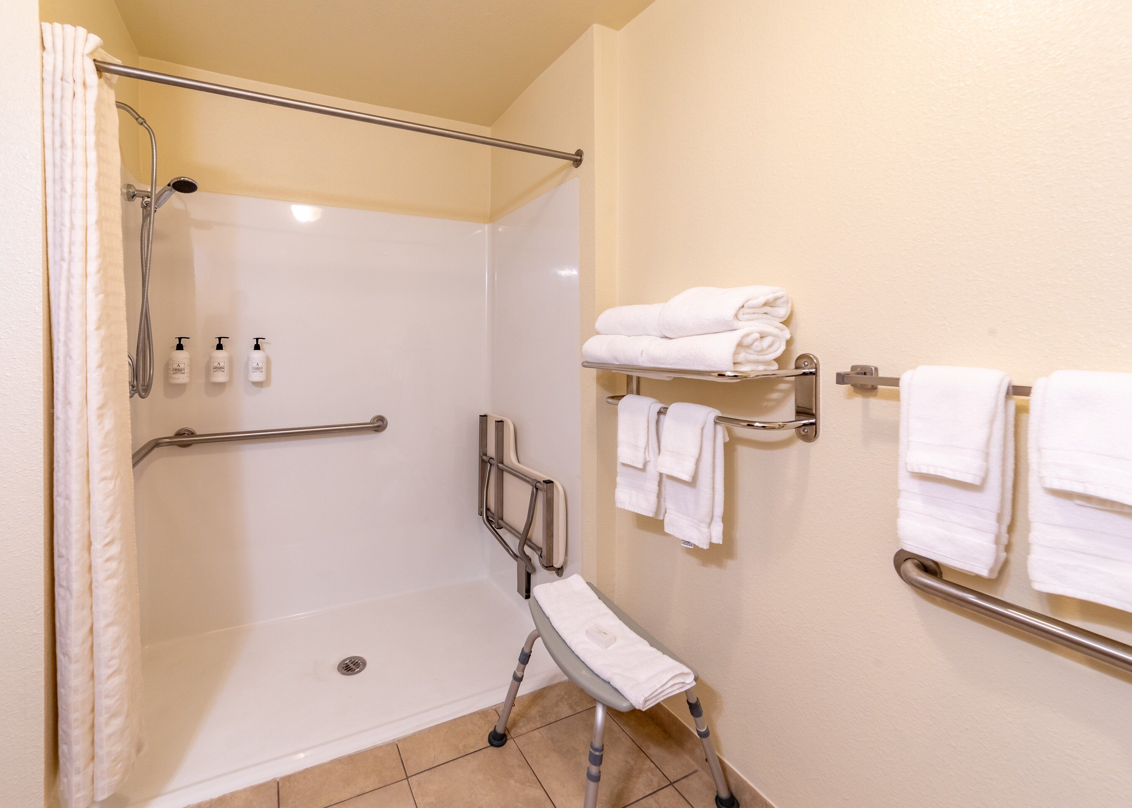 suite, 1 king bed with sofa bed, accessible, non smoking (roll-in shower) | accessible bathroom
