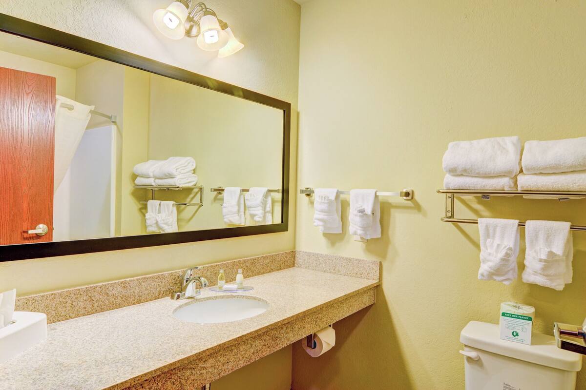 deluxe studio | bathroom | combined shower/bathtub, deep-soaking bathtub, hydromassage showerhead