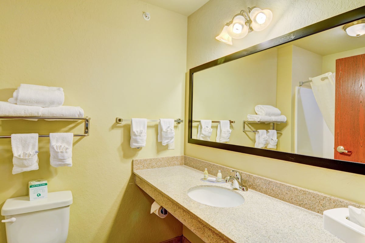 combined shower/bathtub, deep-soaking bathtub, hydromassage showerhead