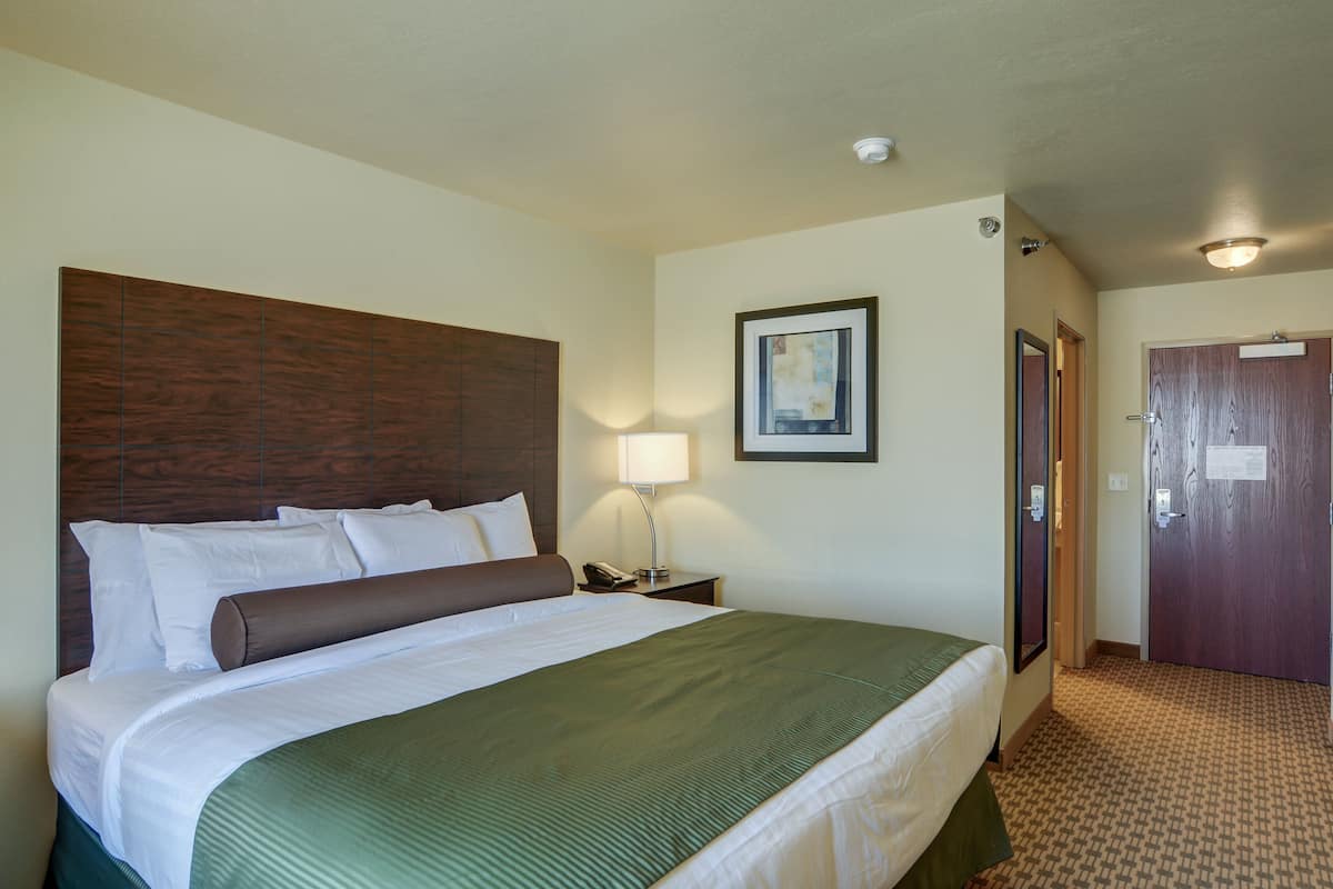 A hotel room with a large bed, a bedside lamp, a framed picture on the wall, and a door to the right.