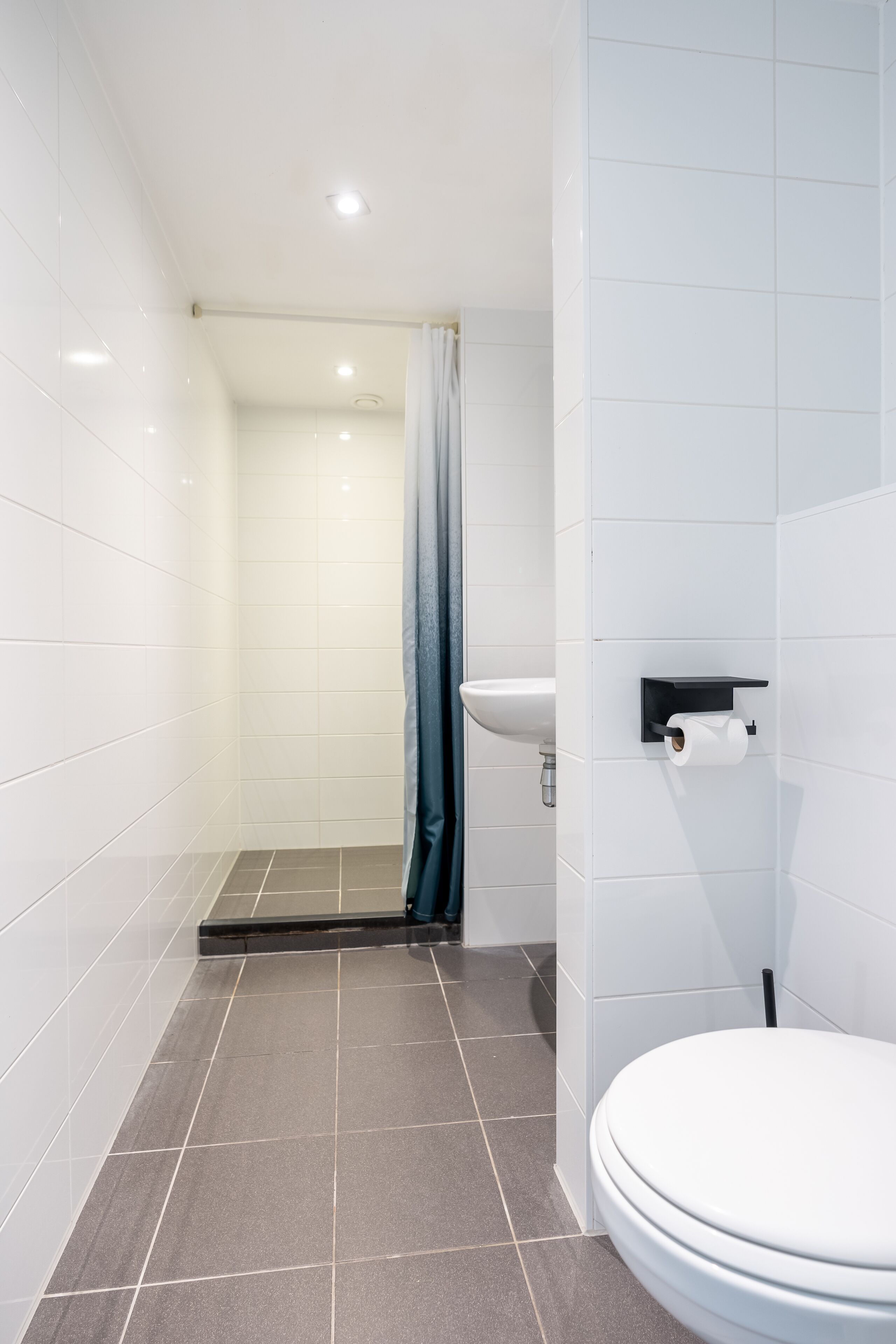 A bathroom with a white toilet, a sink, and a shower area.