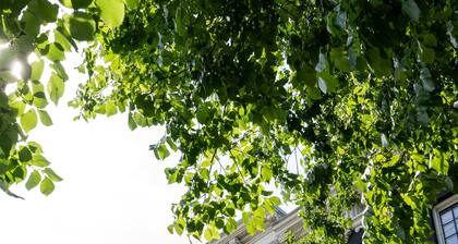 Amsterdam Dockside Flats